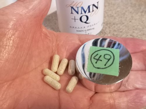 �����ˣ����ץ������Ǥ���Τ�
