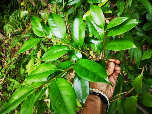 �ؤ��դϲ椬�ȤβȤμ����