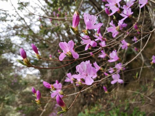 ���ХΥߥĥХĥĥ�