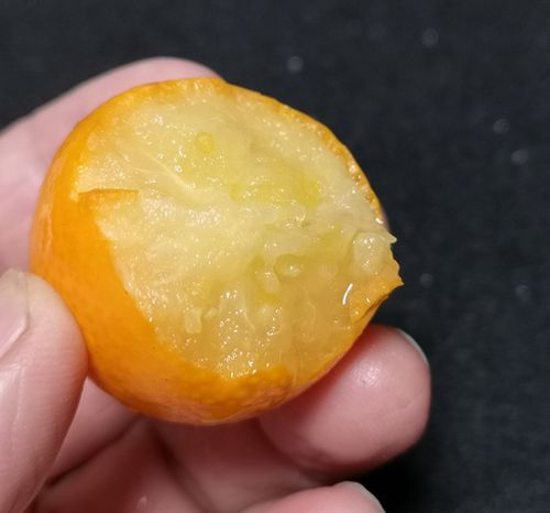 ���塼����