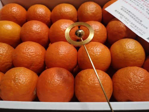 ¥Ð¥¤¥ª¥¢¥ó¥Æ¥Ê¤Ï