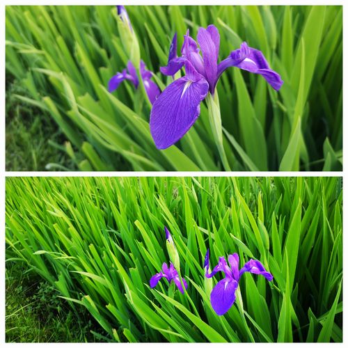 ��Υ����ĥХ���餭�Ϥ�ޤ���