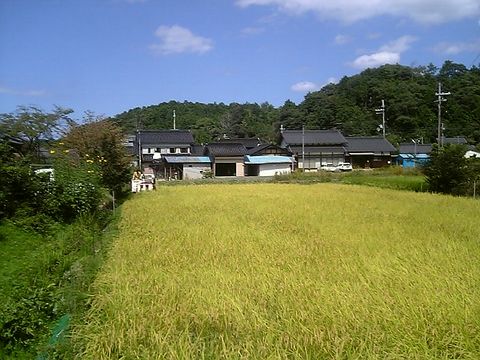 �𴢤꤬�Ϥޤ�ޤ���