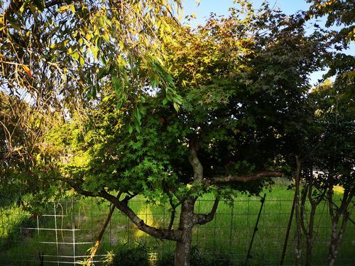 ¥â¥ß¥¸¤ÎÑòÄê¤ò¤·¤Æ¤¤¤¿¤È¤³¤í