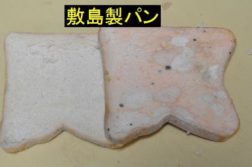 ���饤�����Ƥߤޤ��� (1)