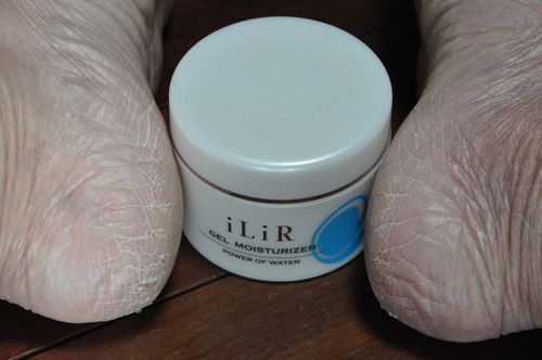 ���¿���������