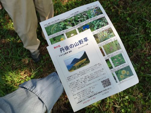�裳�󡧷�ʸ�졦ê�Ĥ�ᤰ�륳����