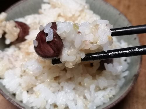 ���饷�Х�������