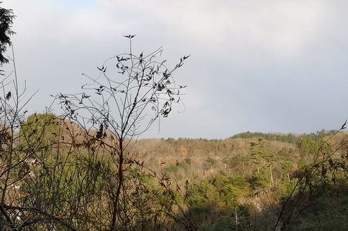 ���λ������㤬�Ѥ�äƻ�������ʤ�ǯ������ޤ���