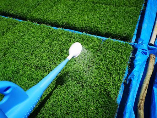 ���̤ʿ��Ȣ�����꣰.���Ȥ򥸥�������夷�ޤ���