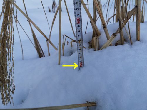 ÀÑÀã¤ò¬¤ë¤È£²£°¥»¥ó¥Á¤Ç¤¹