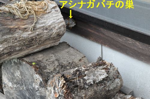 ��ǯ�ϲȤ���¦�θ����꤫�飴�������