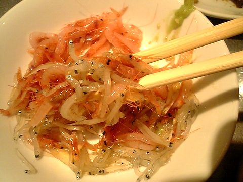 ���饹�Ⱥ���Ϸ�֤��������ޡ�������