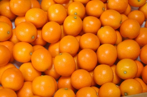 �����ѤΡֲ������󤫤�פ��Ϥ��ޤ���
