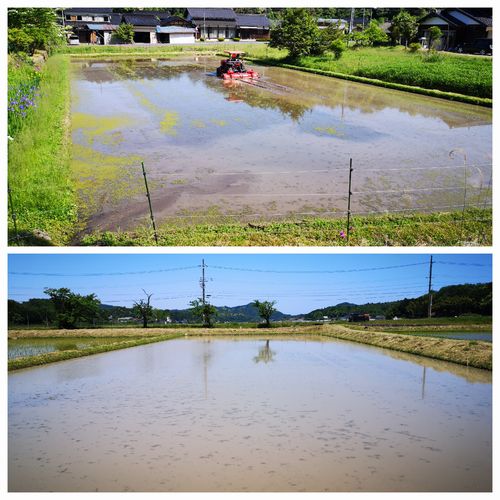 £²²óÌܤÎÂåÁߤ