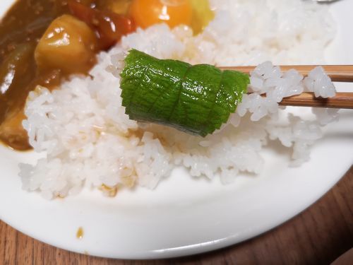 ������Ĥ����ʤ���դǤ��Ӥ򴬤��ƿ��٤Ƹ��ޤ���