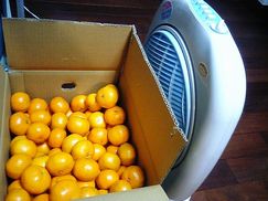 �ߥ���ˤ���Ӥ��ޤ�