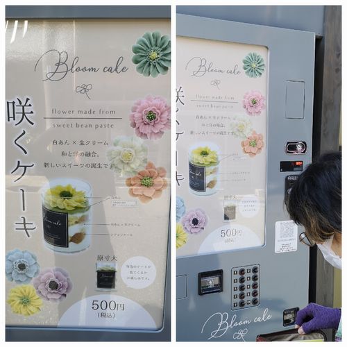 �餯������