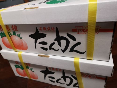 �ֻ�ϼ��פ���Υ��󥫥�����ꤹ�뤳�Ȥ�����ޤ���