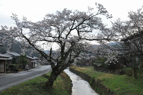 ��褤�Υ��ᥤ�襷�Τ������Ǥ�(1)