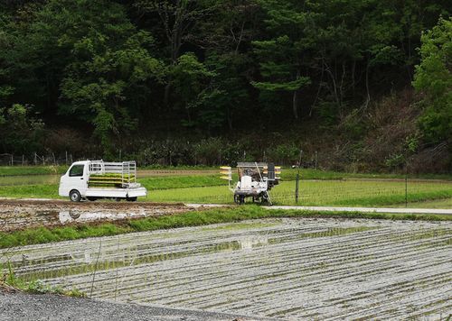 �����Τ��Ŀ����򤵤�Ƥ�����������ޤ���