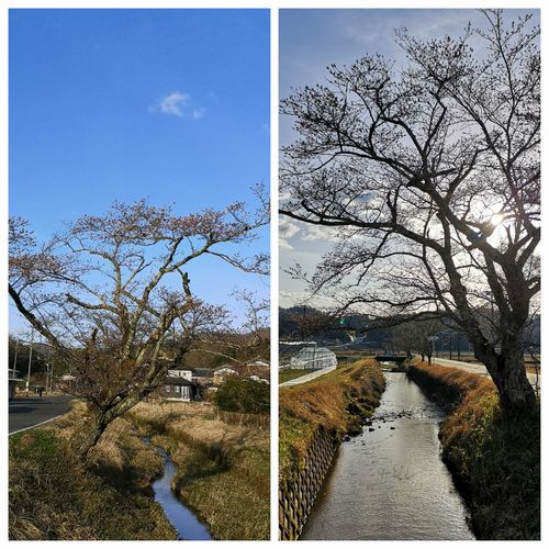 ���ǯ�¤ߤȤ������Ȥˤʤ�ޤ���