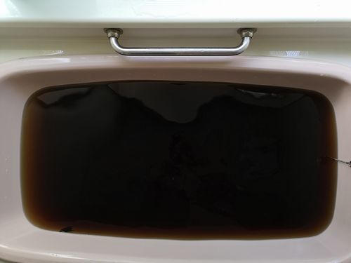 ����ο���ǻ���ʤ�ޤ���