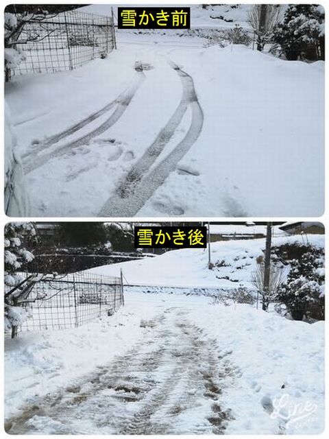 ������㤫�����������ϻ�������ƴ����˾ä���