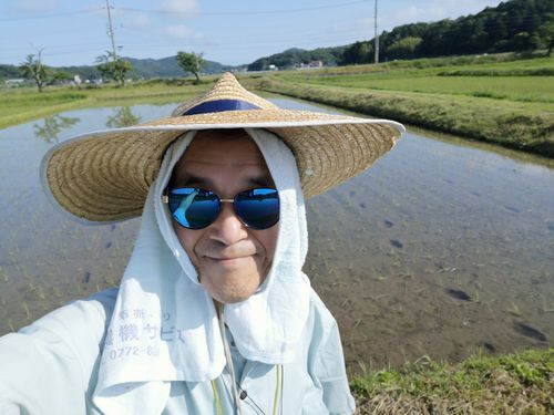 �����Ǥ�