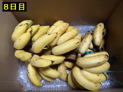 �����Ф��ޤ���