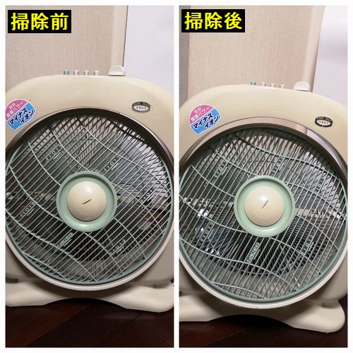 ���Ū���ݽ�����ȵ��������ɤ��Ǥ�