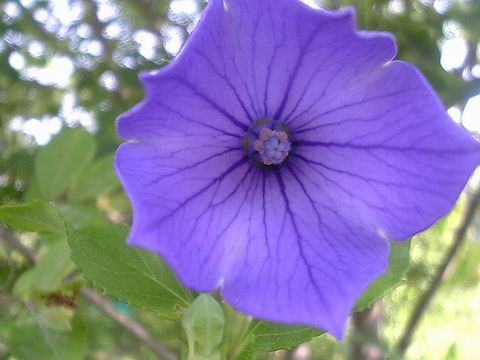 �����祦�α���