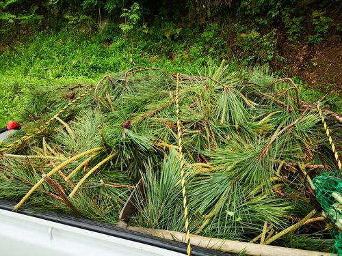 ���ꤷ���ޤϲ��ȷڥȥ����ܤǤ�������������