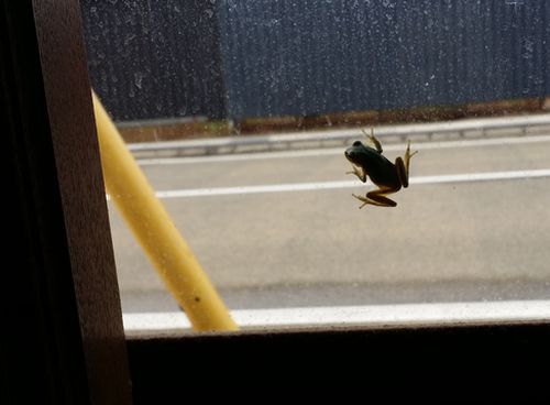 ������������Ϥɤ��ʤ�Ǥ��礦