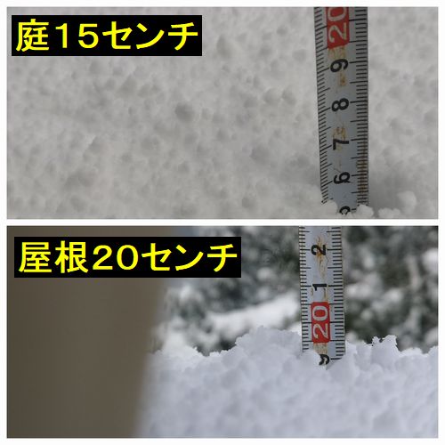 Äí¤Ï£±£µ¥»¥ó¥Á