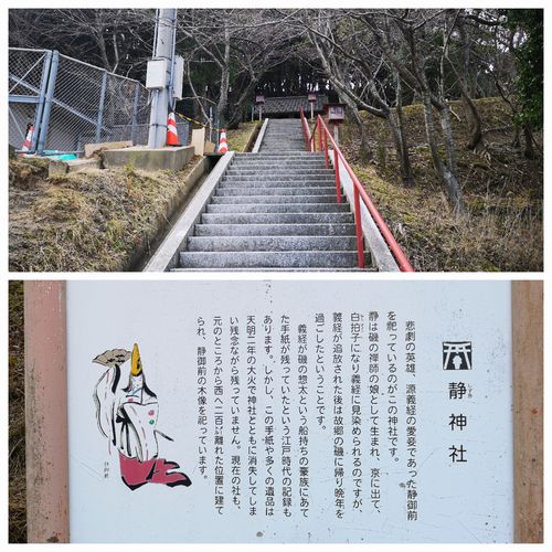 �Ÿ������ſ��Ҥ�����ޤ�