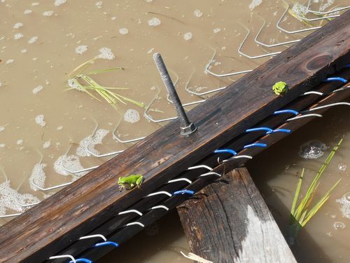 �����ξ�˥��ޥ����뤬��ɤ (2)