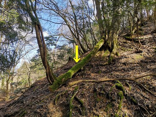 �����ϻĤ������������ڤꤷ�ƻ�������ޤ�