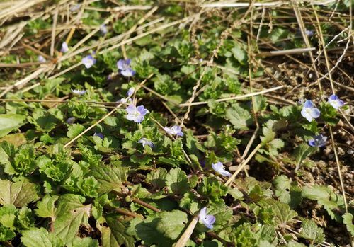 �������ƺ餯�Τ�