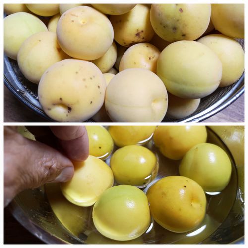 �ۥ磻�ȥꥫ���ǻ��ݤ򤷤Ƥ���