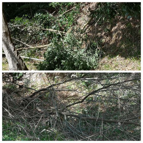 ����ˤʤ��ڤ�����ڤ�ޤ���