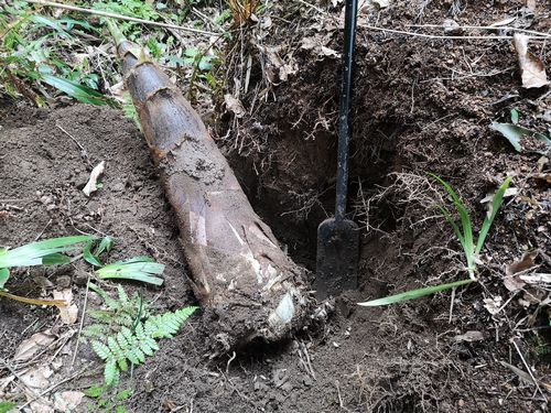 ���祿���Υ��򷡤�ޤ���