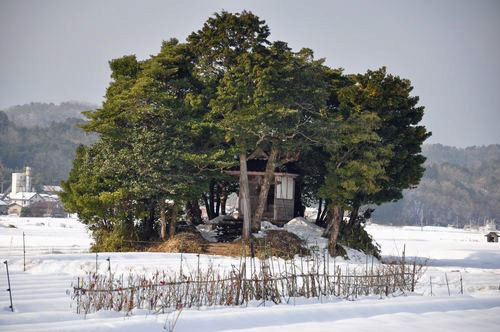 Ʋ������Ͼ����ʼҤǤ�