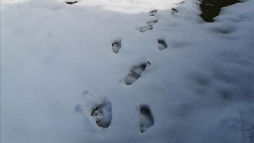 ���Ĥ˵������������Ǥ�