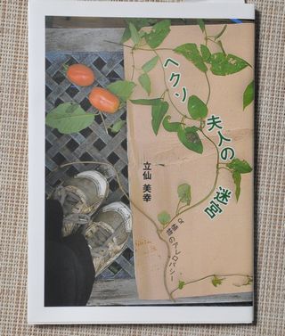 �إ����׿ͤ��µ�