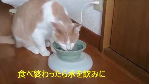 ���ٽ���ä�������ߤ�