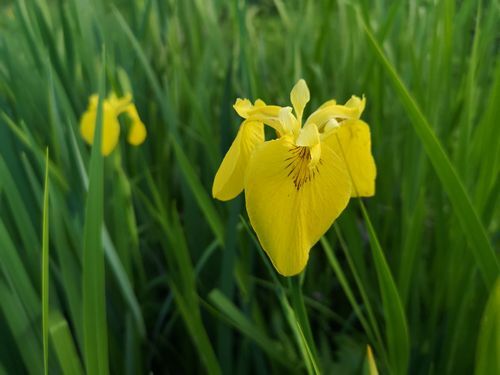 �����Υ����ĥХ������餭�Ϥ�ޤ���