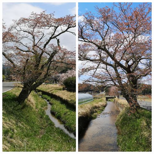 ��褤�Υ��ᥤ�襷�Τϻ���ޤ���