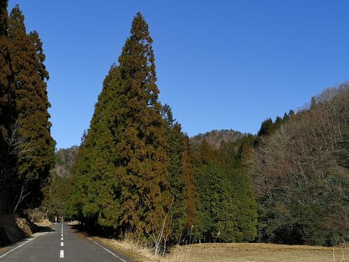 ������ʴ���ͻҤ򸫤˹Ԥ��ޤ���