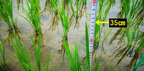 £³£µÑ¤¢¤ê¤Þ¤·¤¿